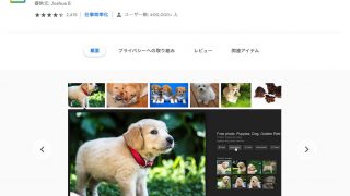 Screenshot 1 320x180 - Google画像検索で「画像を表示」の戻し方