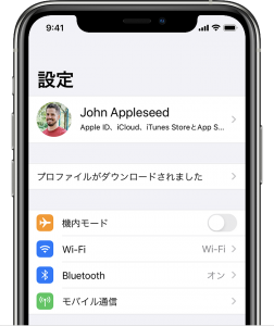 ios13 iphone xs settings profile downloaded cropped 252x300 - 【脱獄不要】再署名不要でiPhoneに非公式アプリ入れ放題!!「Appdb」の使い方!