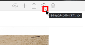 Screenshot 5 300x173 - 【豆知識】icloud.comからオリジナル画質で動画像をダウンロードする方法!!